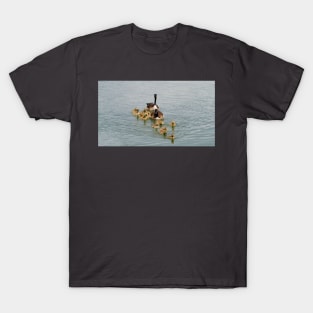 Family of Canada Geese Goslings Swimming Together In A Row T-Shirt